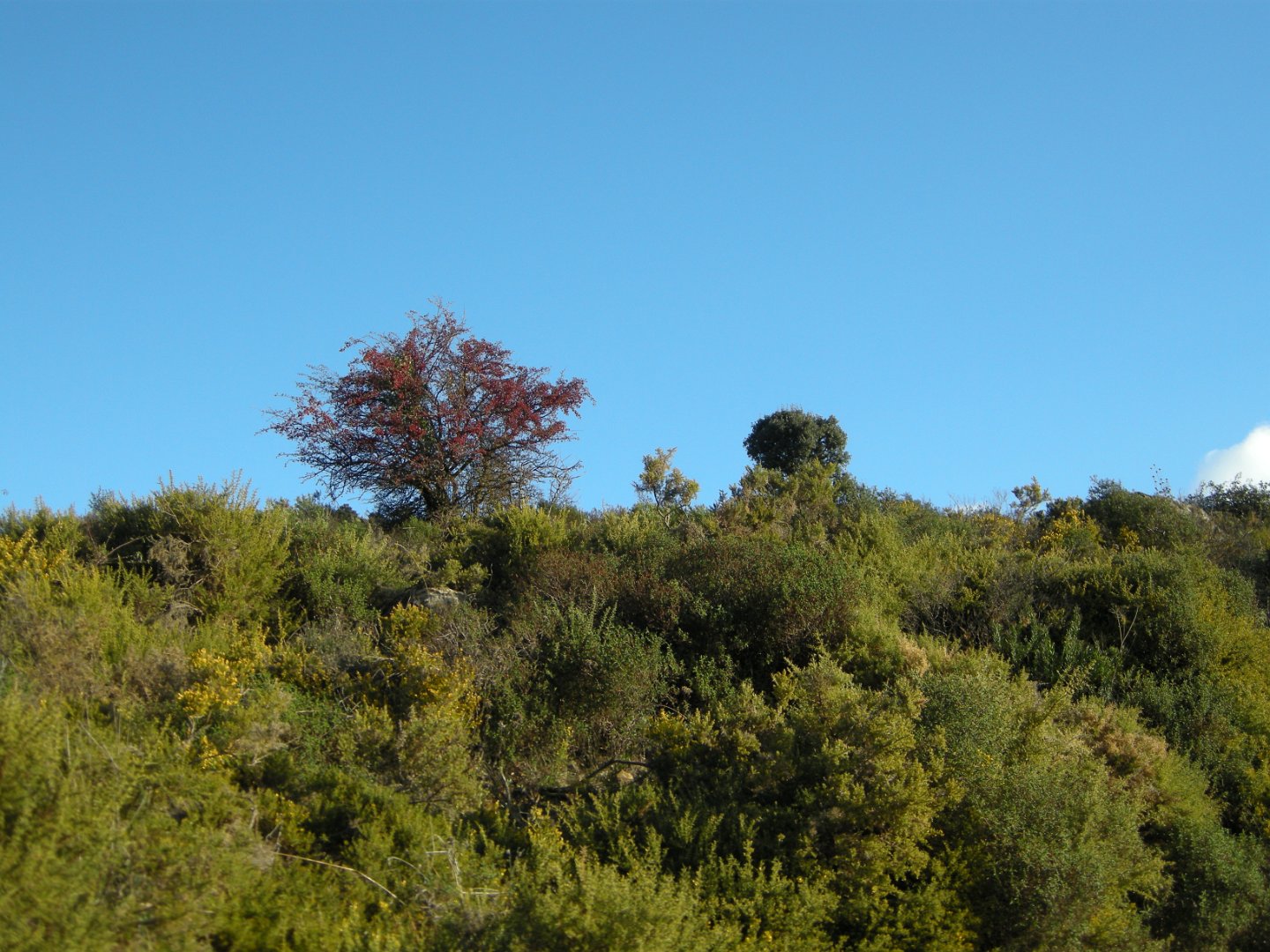 Grazalema_2018 088